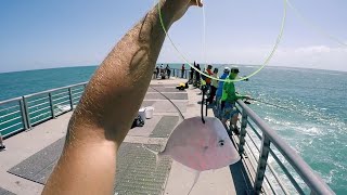 Jetty Giants  Huge Fish Caught Fishing from Jetty [upl. by Anne100]