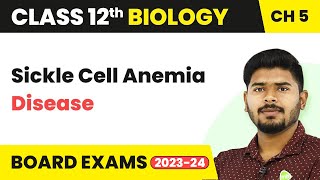 Class 12 Biology Ch 5  Sickle Cell Anemia Disease  Principles of Inheritance and Variation 202223 [upl. by Norm]