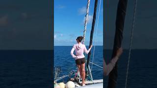 Keeping an eye out for bommies🪸😎 sailing boatlife pacificislands [upl. by Nellie]