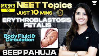 Erythroblastosis Fetalis  Body Fluids amp Circulation  NEET Biology  Seep Pahuja [upl. by Frerichs]