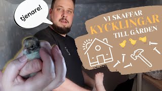 KLÄCKER KYCKLINGAR 🐣  bygger hönshus och testar värpmaskin vlogg  Nr 37 [upl. by Elvie]