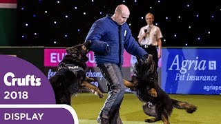 West Midlands Police Dog Display  Crufts 2018 [upl. by Orvie]