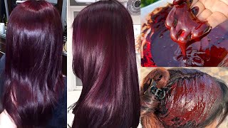 Dark Brown to Silver Hair  3 Step Tutorial [upl. by Estelle807]