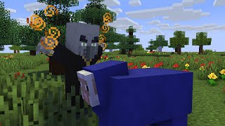 Minecraft Evoker wololo  minecraft animation [upl. by Sila709]