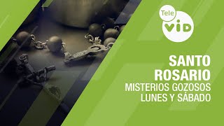 Santo Rosario 📿 Misterios Gozosos  Lunes y Sábado Tele VID SantoRosario TeleVID [upl. by Ahsya]