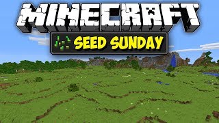 Minecraft 1122  Super Flat Plains Spawn  Seed Sunday  Ep241 [upl. by Aliber]