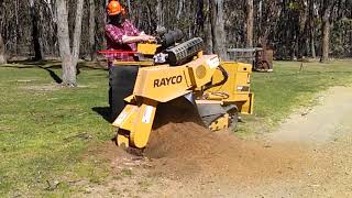 Rayco RG37 Stump Grinder [upl. by Kyrstin]