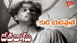 ANR Old Songs ANR Devadasu Movie  Kudi Yadamaithe Song  ANR  Savitri  OldSongsTelugu [upl. by Hindu579]