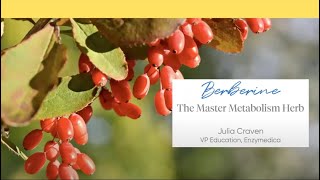 Berberine The Master Metabolism Herb [upl. by Kred]