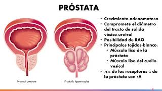 Farmacología del sistema adrenérgico Parte 33  Dr Martín Hornos [upl. by Oilicec603]