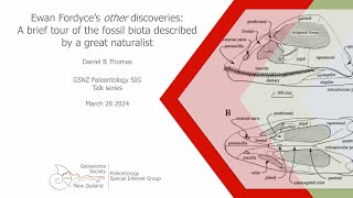 Ewan Fordyce’s other discoveries A brief tour of the fossil biota described by a great naturalist [upl. by Naji841]