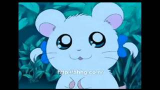 Hamtaro amp BijouRoses Are Red [upl. by Anivahs334]