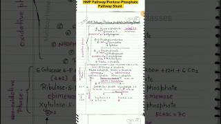 HMP PathwayPentose Phosphate Pathway Shunt tricks shorts [upl. by Aniad]