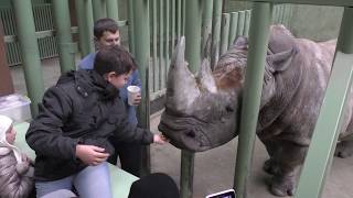 Zoo 12 Months and Antarctic Ice Circus near Kiev Ukraine [upl. by Ellesirg731]