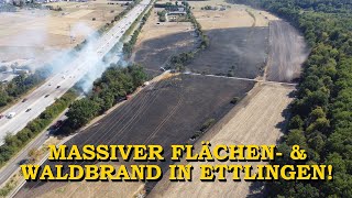 ERSTVIDEO  MASSIVER FLÄCHEN amp WALDBRAND   16 HEKTAR  FEUERWEHREN im GROSSEINSATZ  ETTLINGEN [upl. by Walther]