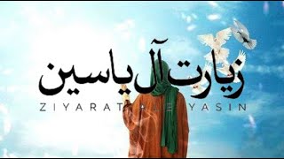 ziarat e ale yasin Ali fani Ziyarat Ale Yasin   علی فانی  زیارت آل یاسین [upl. by Anilatak]