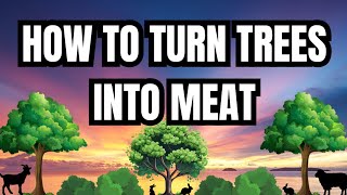 How To Turn Trees Into Meat  Top Five Fodder Trees For Livestock  Foraging For Meat Rabbits [upl. by Ileane]