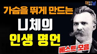 언제 어디서나 듣는 니체의 살 떨리는 인생 조언 마음이 편해지는 책듣고 힐링하기│오디오북 책읽어주는여자 korean audiobook [upl. by Sherourd]