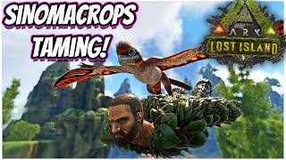 HOW TO TAME SINOMACROPS AND ITS ABILITIES  Ark Lost Island [upl. by Naillig324]