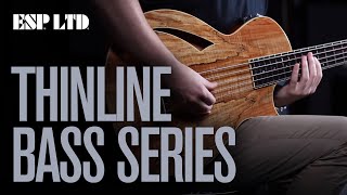 ESP LTD Thinline Bass Series  5 string amp Fretless Introduced [upl. by Ellehcit]