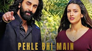 ANIMAL  Pehle Bhi Main  Loop Song [upl. by Paxton174]