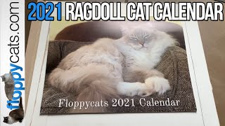 📆 2021 Ragdoll Cat Calendar ⭐ Floppycats 2021 Calendar 📆 [upl. by Searby]