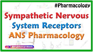 Sympathetic Nervous System Receptors  ANS Pharmacology  DrRajesh Gubba [upl. by Lias]