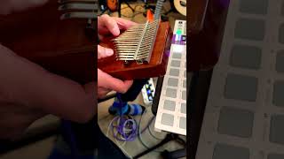 Electric Kalimba Jam TC Electronic Plethora X5 Delays [upl. by Romeu869]