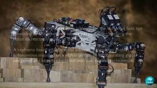 Autonomous Navigation of Hexapod Robots with Visionbased Controller Adaptation  ICRA2017 [upl. by Essilem943]