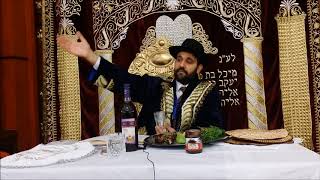 How to Conduct PESACH  PASSOVER SEDER Night Correctly in RUSSIAN  Rabbi Avraham Tabibov 5778 [upl. by Lindi]