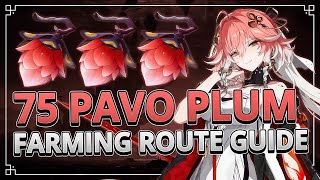 Pavo Plum 75 Locations Farming Route Guide  Wuthering Waves 11 [upl. by Poirer982]