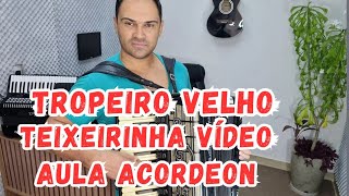 Como Tocar TROPEIRO VELHO  Acordeon SOLO CANTO COMPLETO [upl. by Biddy619]