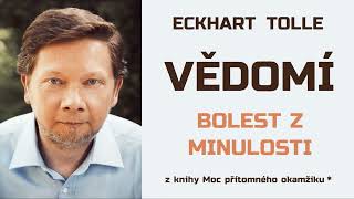 Eckhart Tolle  Moc přítomného okamžiku  Vědomí Osvobození od bolesti  6 Bolest z minulosti [upl. by Airdnassac]