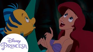 Los mejores momentos de Ariel y sus amigos  Disney Princesa [upl. by Ttegirb221]