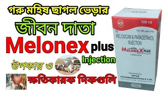 Melonex Plus Injection uses benifits Sideeffects in Bangla  Meloxicam Paracetamol Inj Veterinary [upl. by Zsazsa]