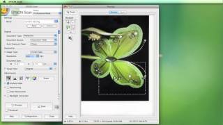 Scanning using the Epson Software [upl. by Oreste]