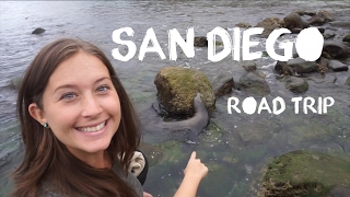 San Diego Road Trip Hotel del Coronado amp La Jolla Seals amp Sea Lions Backpacking Travel Vlog [upl. by Atela]