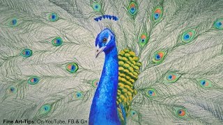 How to Draw a Peacock With Color Pencils  Drawing Feathers and Birds [upl. by Kenon]