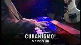 Cubanismo  Mambo UK Live [upl. by Ihteerp]