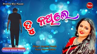 Tu Na Thile  ତୁ ନ ଥିଲେ  Voice Over Odia Song  Aseema Panda  Prativa Mix  Smrutirekha [upl. by Flowers733]