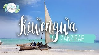 Kiwengwa Beach Zanzibar  Video Hd [upl. by Nosreip355]