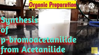 Synthesis of para bromoacetanilide from Acetanilide [upl. by Gisella]