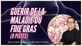 8 pistes pour guérir de la stéatose hépatique non alcoolique comment jai fait [upl. by Sarita652]