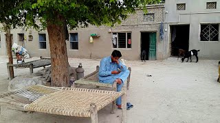 Pakistan Village Life Daily Routine In Rural Punjab [upl. by Bear654]