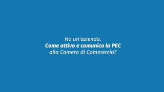 Come limpresa può ottenere e registrare la pec alla Camera di Commercio di Salerno [upl. by Sebastiano]