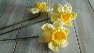 crochet How To Crochet a Daffodil  Yarn Scrap Friday [upl. by Alleul779]