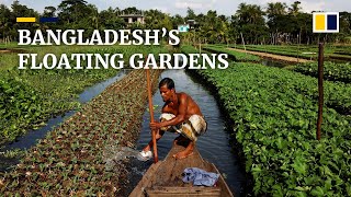 Floating farms in Bangladesh enables yearround farming [upl. by Irb]