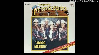 amigo mesero  conjunto primavera [upl. by Oakleil848]