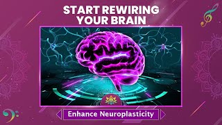 Start Rewiring Your Brain  Enhance Neuroplasticity For Faster Cognition  Supercharge Neurons [upl. by Wojcik676]