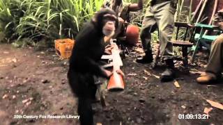 Monkey vs African Soldiers [upl. by Sollows]